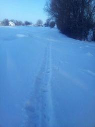 ЖИТТЯ  СЕЛА