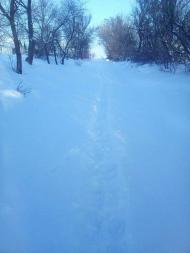 ЖИТТЯ  СЕЛА