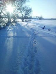 ЖИТТЯ  СЕЛА