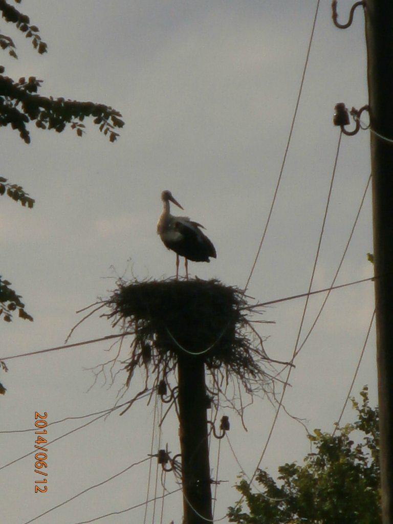 с.Перелюб - Перелюб