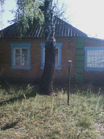 Життя  села - Сакуниха