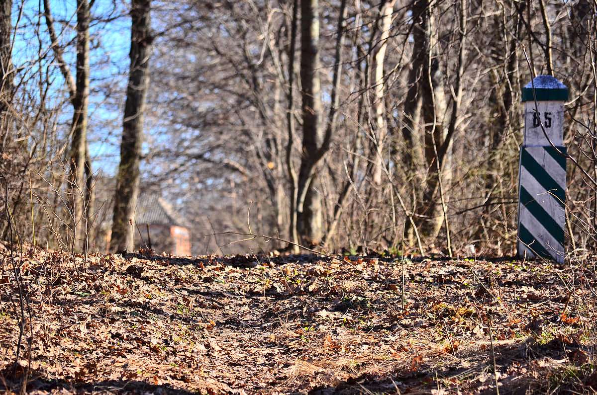 Весна-2018 - Иваница