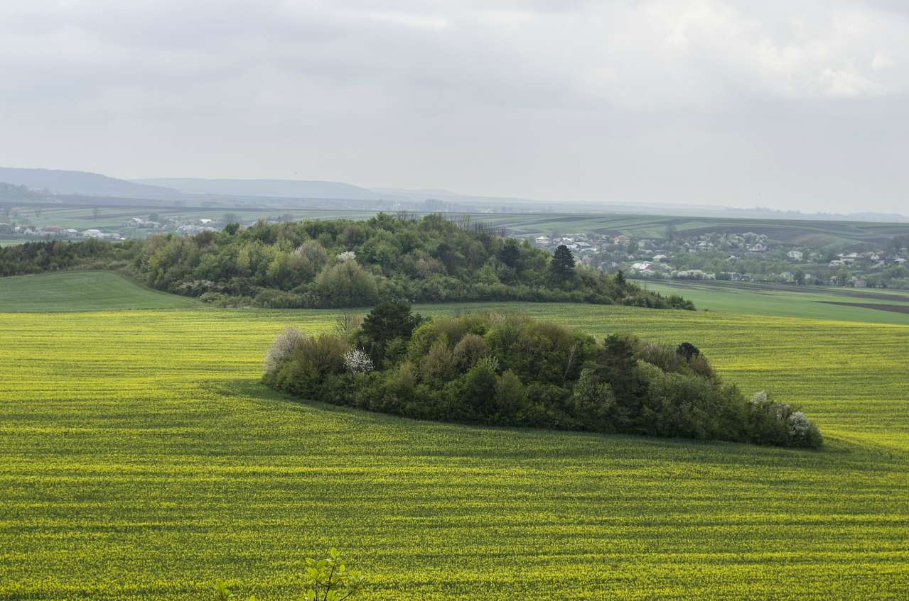Медобори - Vikno