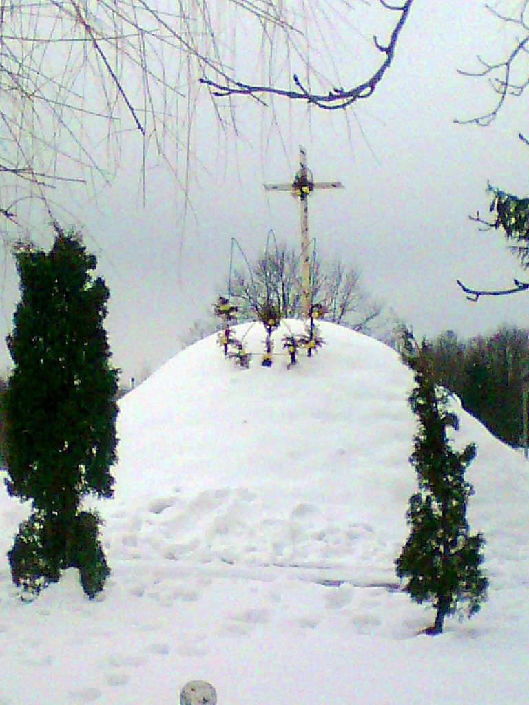 Символічна могила - Малі Дідушичі