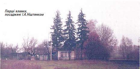 Історія  села - Червона Слобода