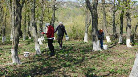Антонівка - Антонівка