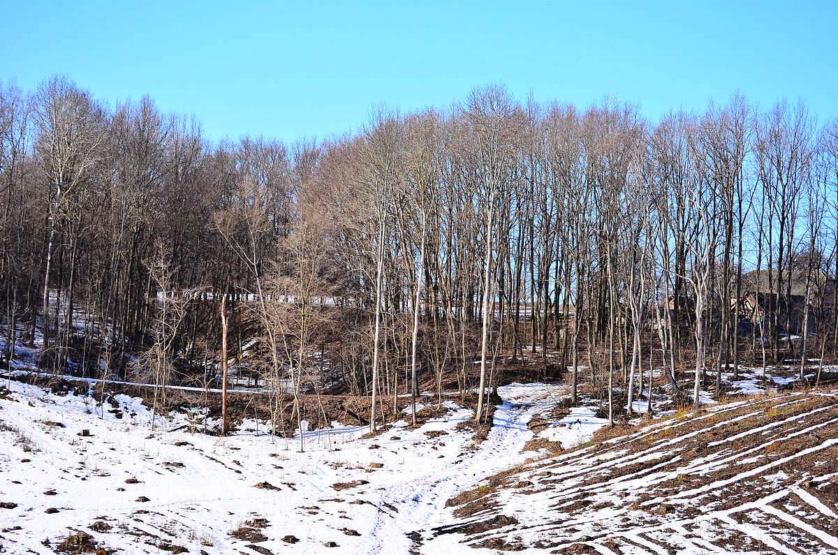 Весна-2018 - Иваница