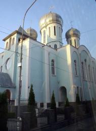 Виноградів із вікна автобуса