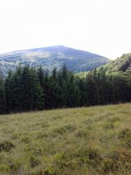 Подобовець - Останні фото