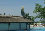 КОСИНО-чудове місце відпочинку