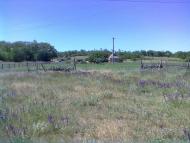 село Тимофіївка