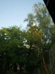 Виноградів із вікна автобуса