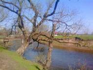 річка Вівнянка