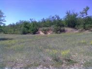 село Тимофіївка