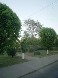 Виноградів із вікна автобуса