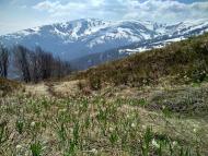 Подобовець - Останні фото