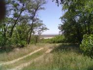 село Тимофіївка