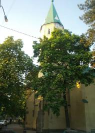 Виноградів із вікна автобуса