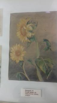 Картинна галерея