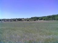 село Тимофіївка