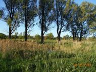 село та люди