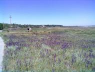 село Тимофіївка