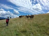 Подобовець - Останні фото