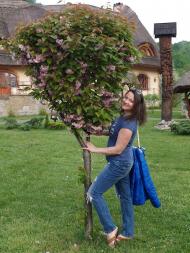 Курортне місто Шаян