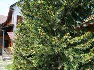 Ресторан 'Калиба опришків'