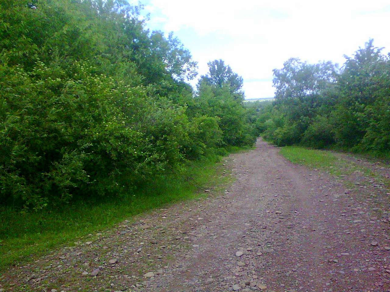 Краєвид - Зарічне