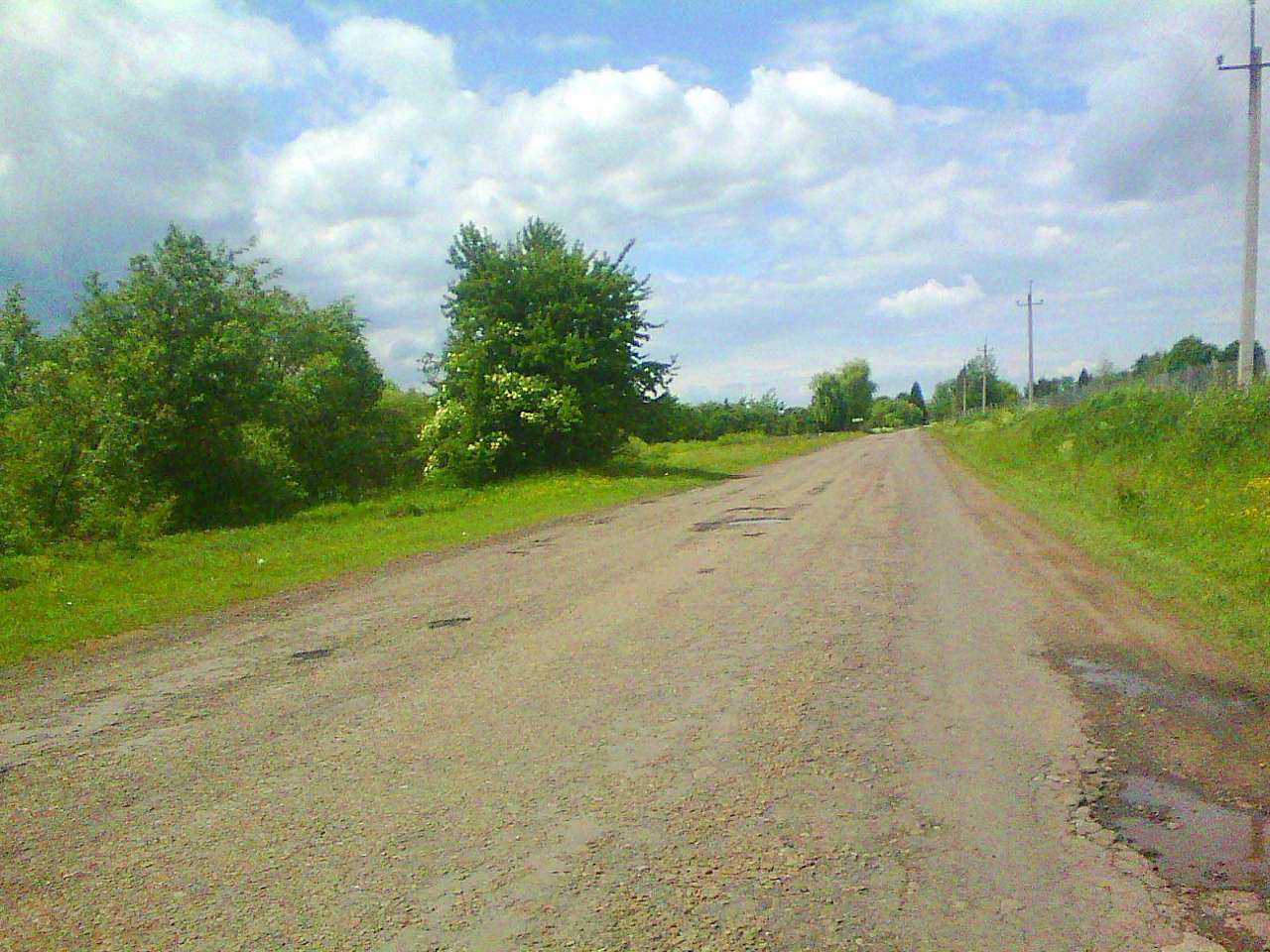 Краєвид - Лани Соколівські