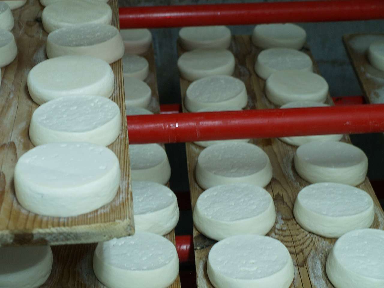 Приватна сироварня - Нижнє Селище