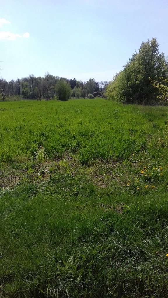 Турбовка - Турбівка