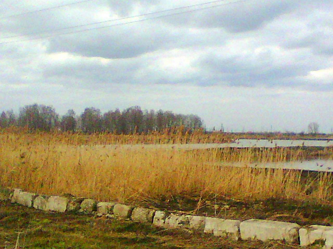 Стави - Стрілків