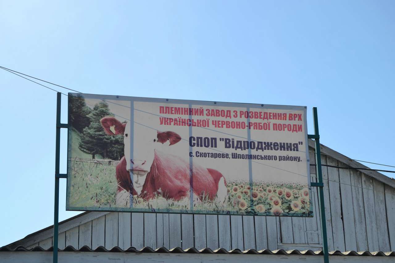 Скотареве - Скотареве