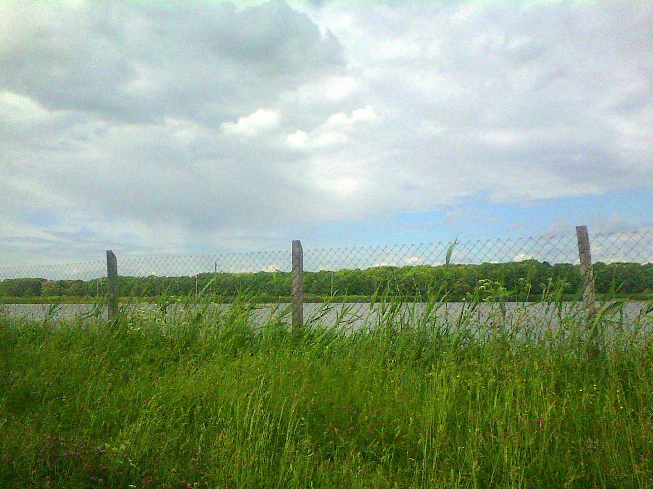 Рибгосп - Лани Соколівські