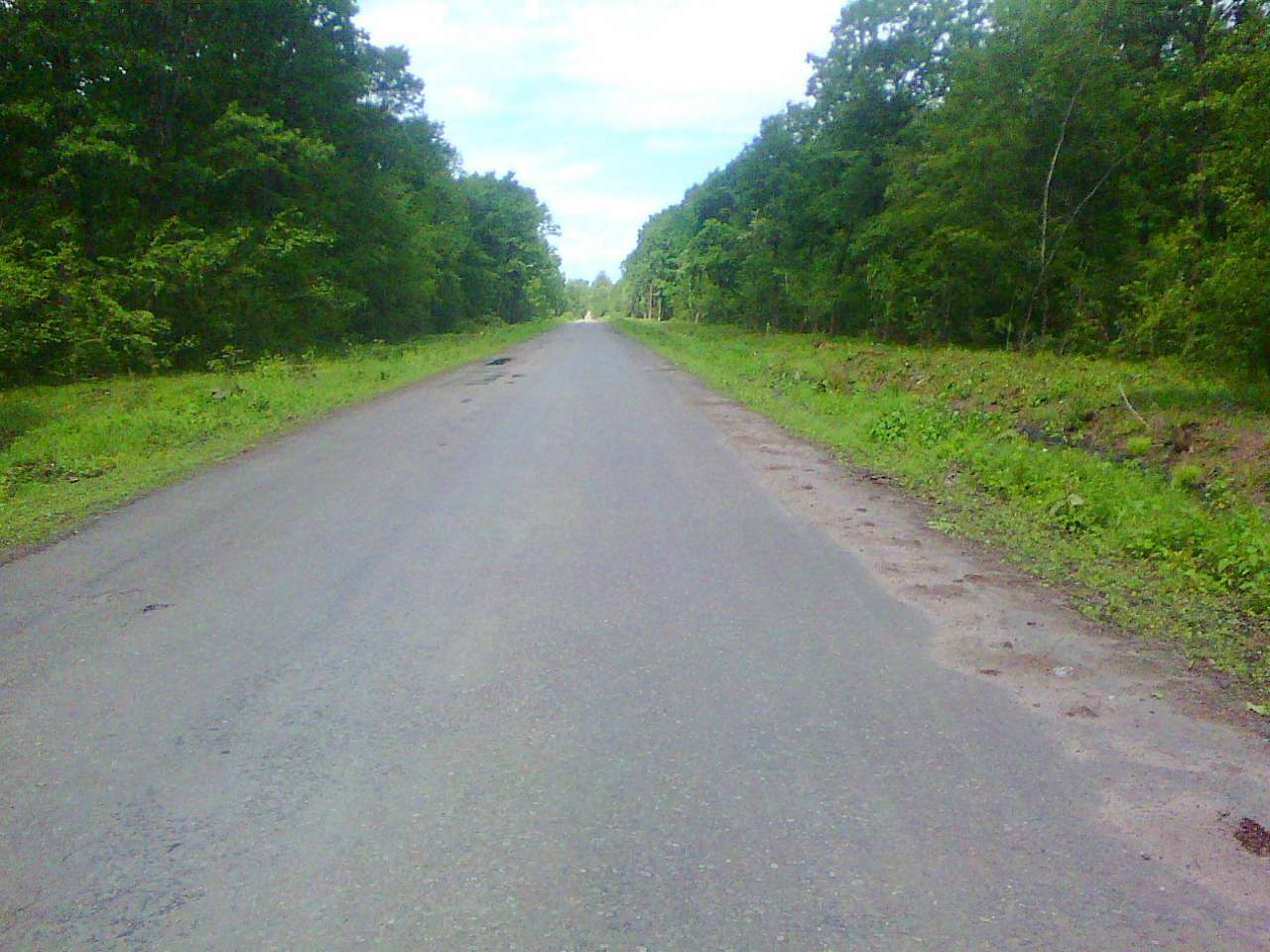 Краєвид - Лани Соколівські