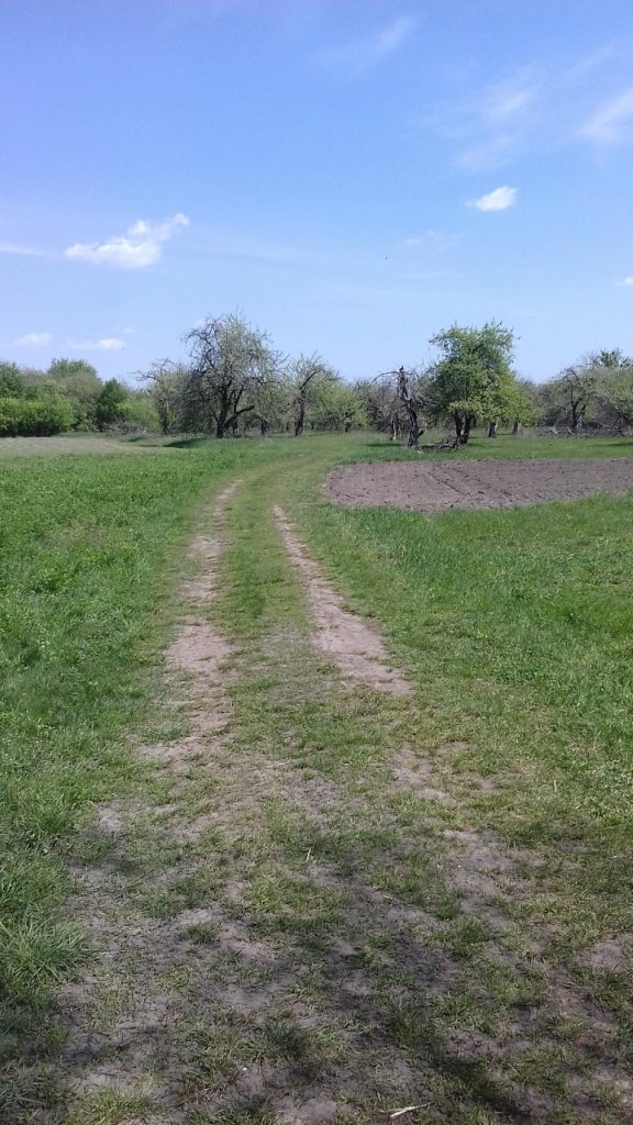 Турбовка - Турбівка