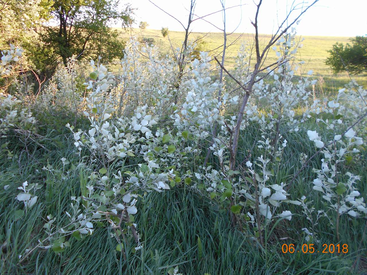 село та люди - Іванів