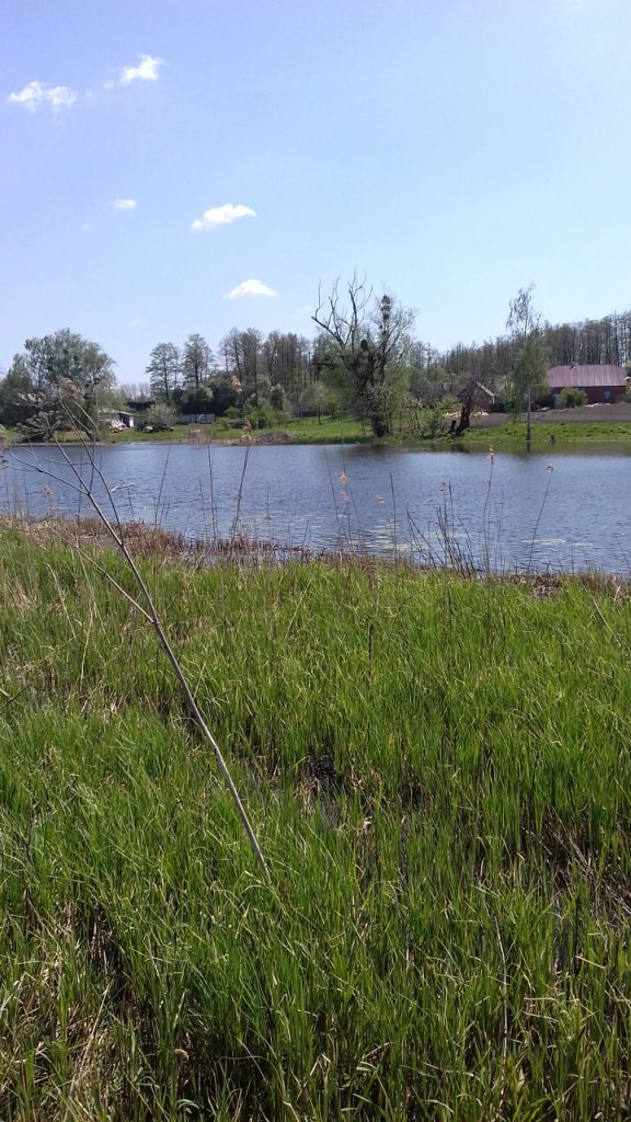 Турбовка - Турбівка