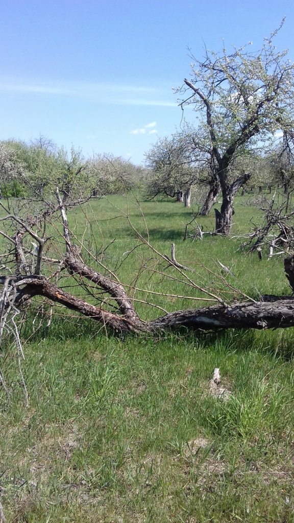 Турбовка - Турбівка