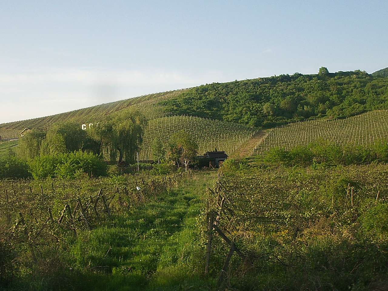 Виноградів із вікна автобуса - Виноградів