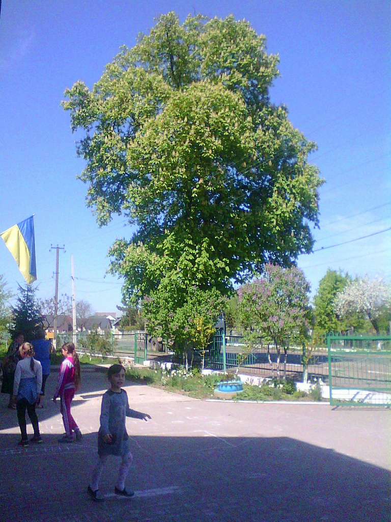 Школа - Верчаны