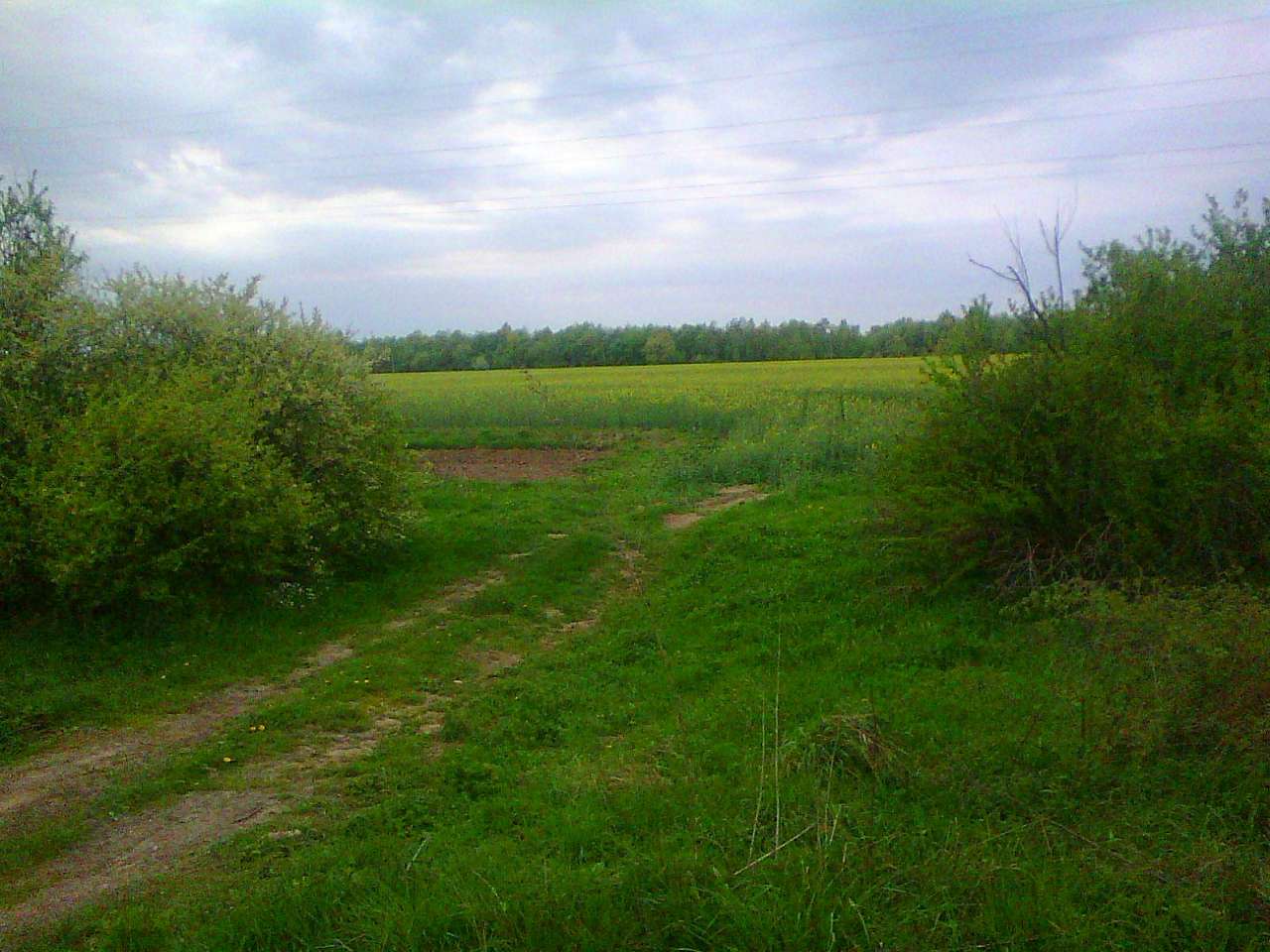 краєвид - Слобідка