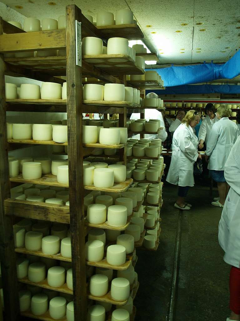 Приватна сироварня - Нижнє Селище
