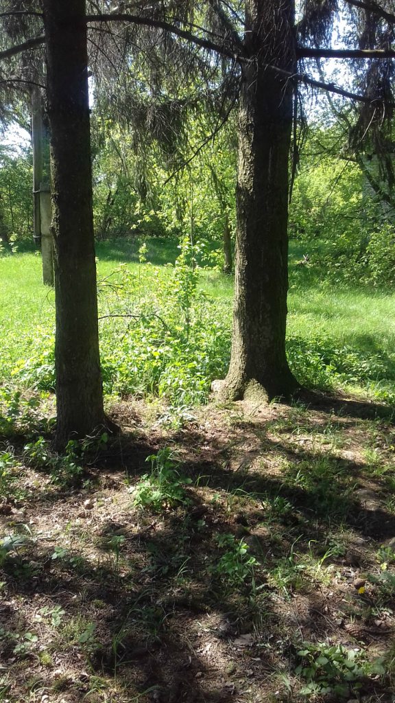 Турбовка - Турбівка