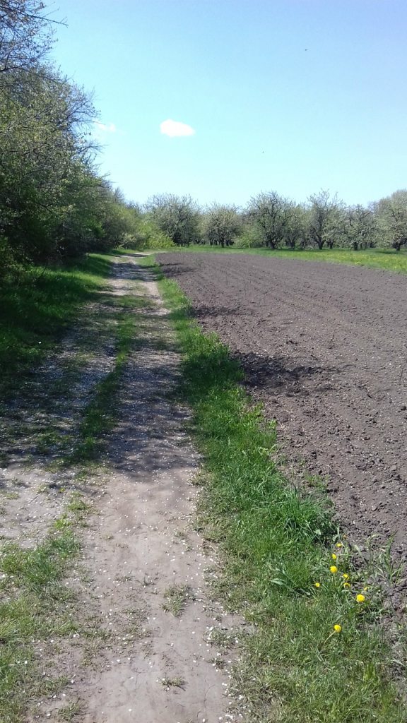 Турбовка - Турбівка