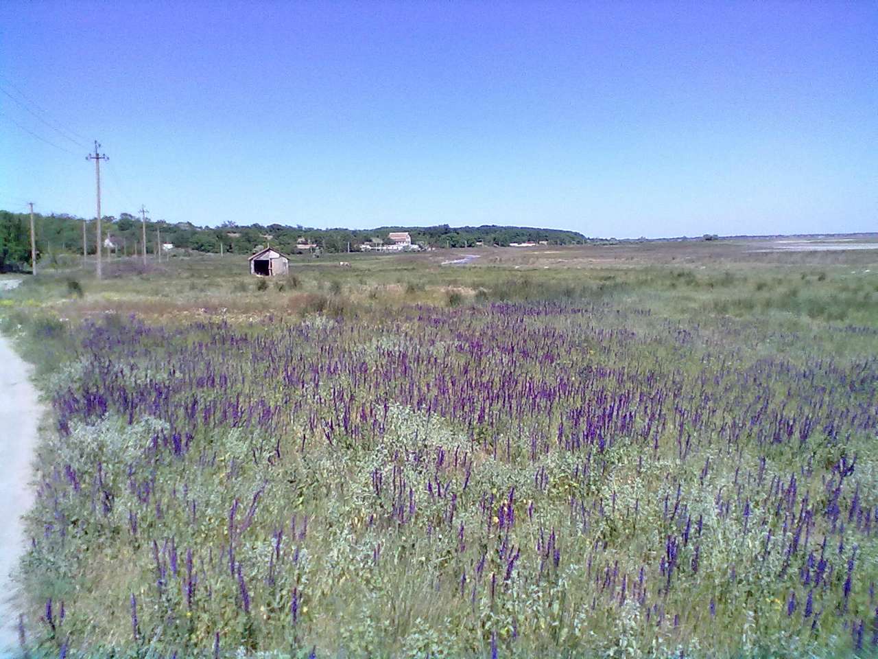 село Тимофіївка - Тимофіївка