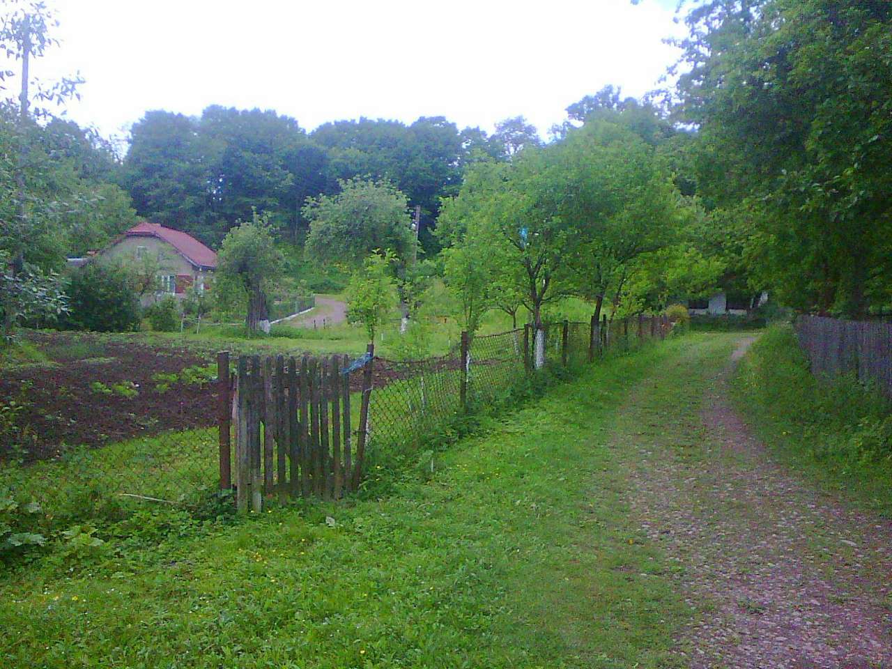 Краєвид - Зарічне