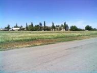 село Олександрівка